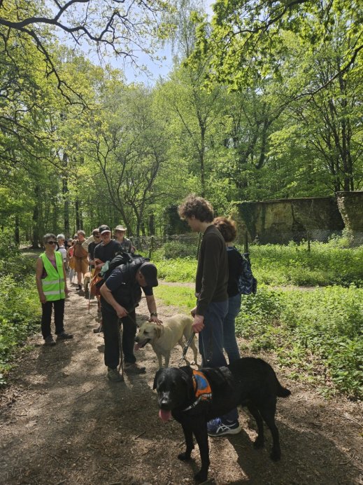 RANDO -🚶Jeudi 9 avril, une randonnée pas comme les autres s’est élancée depuis le Pont de Pacé