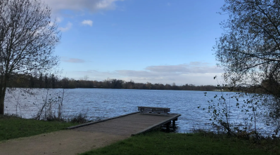 RANDO -🚶5km à la découverte de l’étang d’Apigné